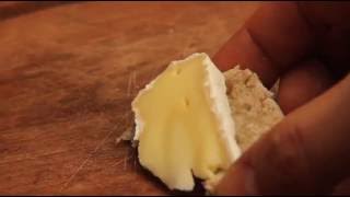 Consejo del pulpero Queso Camembert [upl. by Firehs]