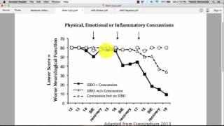 Traumatic Brain Injuries Do Not Recover Because of LPSActivated Microglia within the CNS [upl. by Culley]