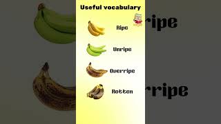 proactive English practice learningenglishmadeeasy english vocabulary easytospeak [upl. by Tri]