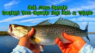 Late Fall Full Moon SPECKLED TROUT amp REDS [upl. by Anstice]