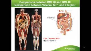 Herbalife Pitchbook Presentation and Training [upl. by Sileas574]