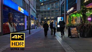 Festive walk in Bradford 171123 4KHDR [upl. by Rehpretsirhc897]