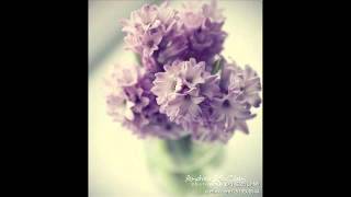 Shi Jin 石进  Smile of a Flower 花的微笑 [upl. by Nylicaj]