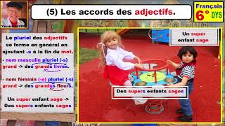 Les accords avec les adjectifs  Grammaire française cm2 6ème dys  5 [upl. by Nylessej]