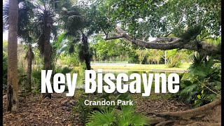 Exploring Key Biscayne Crandon Park [upl. by Jaehne]