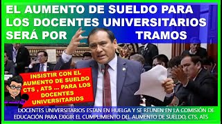 🔴😱EL AUMENTO DE SUELDO PARA LOS DOCENTES UNIVERSITARIOS SERÁ POR TRAMOS [upl. by Nylauqcaj449]