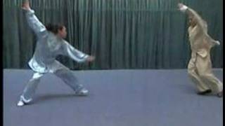 Bagua Opposing Person Routine [upl. by Kieger]