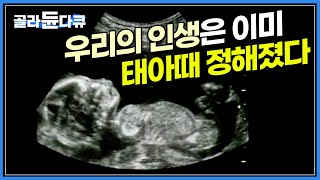 유전자 환경 뿐만 아니라 엄마 뱃속에서의 삶의 질이 나머지 삶을 끌고 간다는 태아 프로그래밍 이론ㅣ출산율을 걱정하는 시대 오히려 출산의 질에 주목한다ㅣ다큐프라임ㅣ골라듄다큐 [upl. by Ainit661]