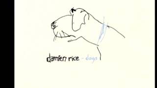 Damien Rice  The Professor amp La Fille Danse Live at Wisseloord Studios [upl. by Stefan23]