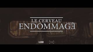 LIM CLIP LE CERVEAU ENDOMMAGE [upl. by Vlad]