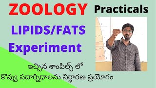 LipidsFats Experiment  Inter Zoology Practicals శాంపిల్స్ లో కొవ్వు పదార్థాలను నిర్ధారణ ప్రయోగం [upl. by Dyanna]