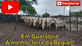 FEIRA DE GADO DE GUARABIRAPB ✅ 11012024✅DEBAIXO DE MUITA CHUVA [upl. by Ninette]