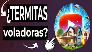 🔴 TERMITAS ALADAS Cómo Eliminarlas de la Casa de Forma Efectiva [upl. by Smail]