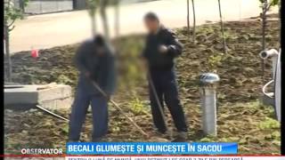 Gigi Becali sa prezentat în sacou în cea de a doua zi de muncă la Academia lui Hagi [upl. by Clardy]