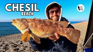 Catching Beautiful Fish On Chesil Beach Fishing Coach Wayne Hand [upl. by Oderfigis]