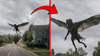 Man Captured A Strange Creature Falling From the Sky [upl. by Nitaf805]