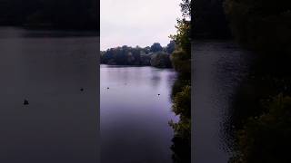 Weißensee shortvideo viralvideo viralshort new nature [upl. by Oyek]