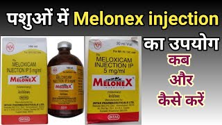 Melonex  Melonex injection  Melonex injection use for cow buffalo goat sheep birds dog cat [upl. by Delcine]