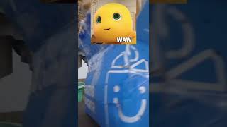 VIDEO UNBOXING KURA KURA 🐢 VENUSTA DARI CUSTOMER SAWAHAN SURABAYA [upl. by Countess]