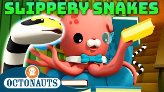 Octonauts  🌧️ Slippery Snakes 🐍  National Serpent Day  50 Mins Compilation [upl. by Spooner371]