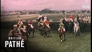 Grand National Long Version 1962 [upl. by Faria]