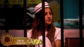 Bigg Boss Tamil  கடைசியில் நான்தான் வீட்டுக்கு போவேன்  Day 20 Full Episode Review [upl. by Yr582]