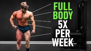 Full Body 5x Per Week Why High Frequency Training Is So Effective [upl. by Anstus116]