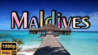 Explore the Maldives A Tropical Paradise [upl. by Aun]