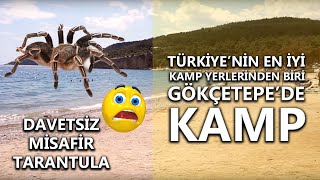 Gökçetepe Tabiat Parkı En iyi Kamp Yeri [upl. by Zanlog]