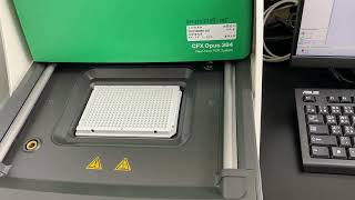 Gunsters MB384W  MBBQSM on BIORAD CFX Opus 384 Real Time PCR System without subtitles [upl. by Bunker797]