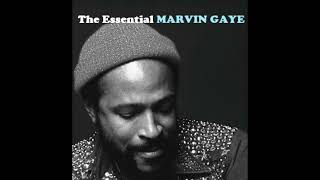 Marvin Gaye ⁞ Inner City Blues Make Me Wanna Holler [upl. by Thin]