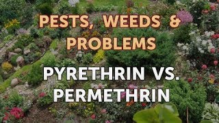 Pyrethrin Vs Permethrin [upl. by Urial]