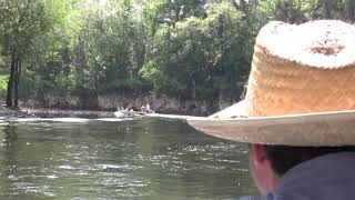 River Logging on Withlacoochee River Logs Lost for 140 Years [upl. by Maurreen]