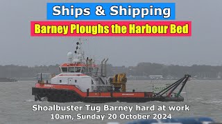 Shoalbuster Barney ploughs the Harbour Bed 10am Sunday 20 October 2024 [upl. by Airbma]