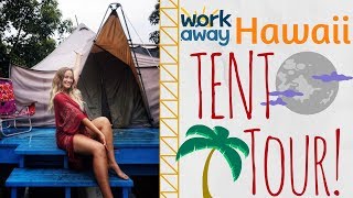 I live in a tent in Hawaii  casual tent tour  pt 2 of 2 [upl. by Ees809]