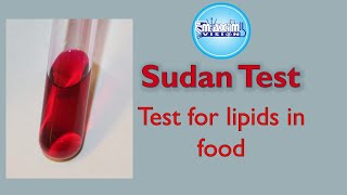 Test for Lipids Sudan Test Food Tests [upl. by Sucrad545]