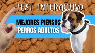 Mejores PIENSOS para PERROS ADULTOS  TEST INTERACTIVO  2024 [upl. by Schreck]