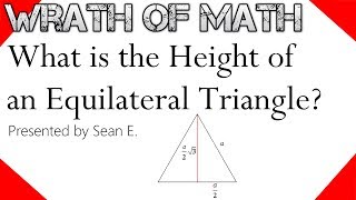 What is the Height of an Equilateral Triangle [upl. by Euton570]