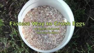 Fastest Way to Crush Egg Shells [upl. by Olrac]