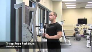 Tricep Rope Pushdown [upl. by Corb]