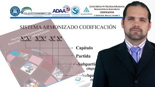 Estructura de Codificación SA [upl. by Bill]