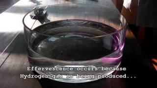 Alkali Metals Reactions with Water [upl. by Fleck]