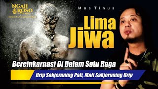 💥LIMA JIWA REINKARNASI DALAM SATU RAGA  MAS TINUS [upl. by Nored]