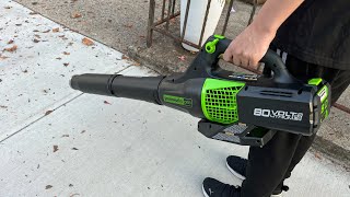 Cordless Leaf Blower Review  GreenWorks Leaf Blower 580 CFM [upl. by Tamsky]