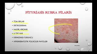 Pityriasis Rosea amp Pityriasis Rubra Pilaris amp Parapsöriazis [upl. by Anomer]