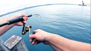 Wharf Fishing Australia for Trevally [upl. by Yaeger259]