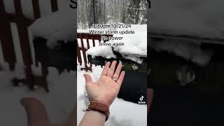 alaska winter storm update from last week unusual heavysnow sleet rain wintrymix nopower [upl. by Bergwall]