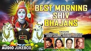 Best Morning Shiv Bhajans By HARIHARAN ANURADHA PAUDWAL SURESH WADKAR ANUP JALOTA I Audio JukeBox [upl. by Onitsoga]