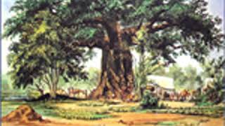 THE STORY OF AN AFRICAN FARM by Olive Schreiner FULL AUDIOBOOK  Best Audiobooks [upl. by Renae824]