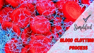 How Platelets Bring about BLOOD CLOTTING I KCSE Biology Form 2 [upl. by Vasta]